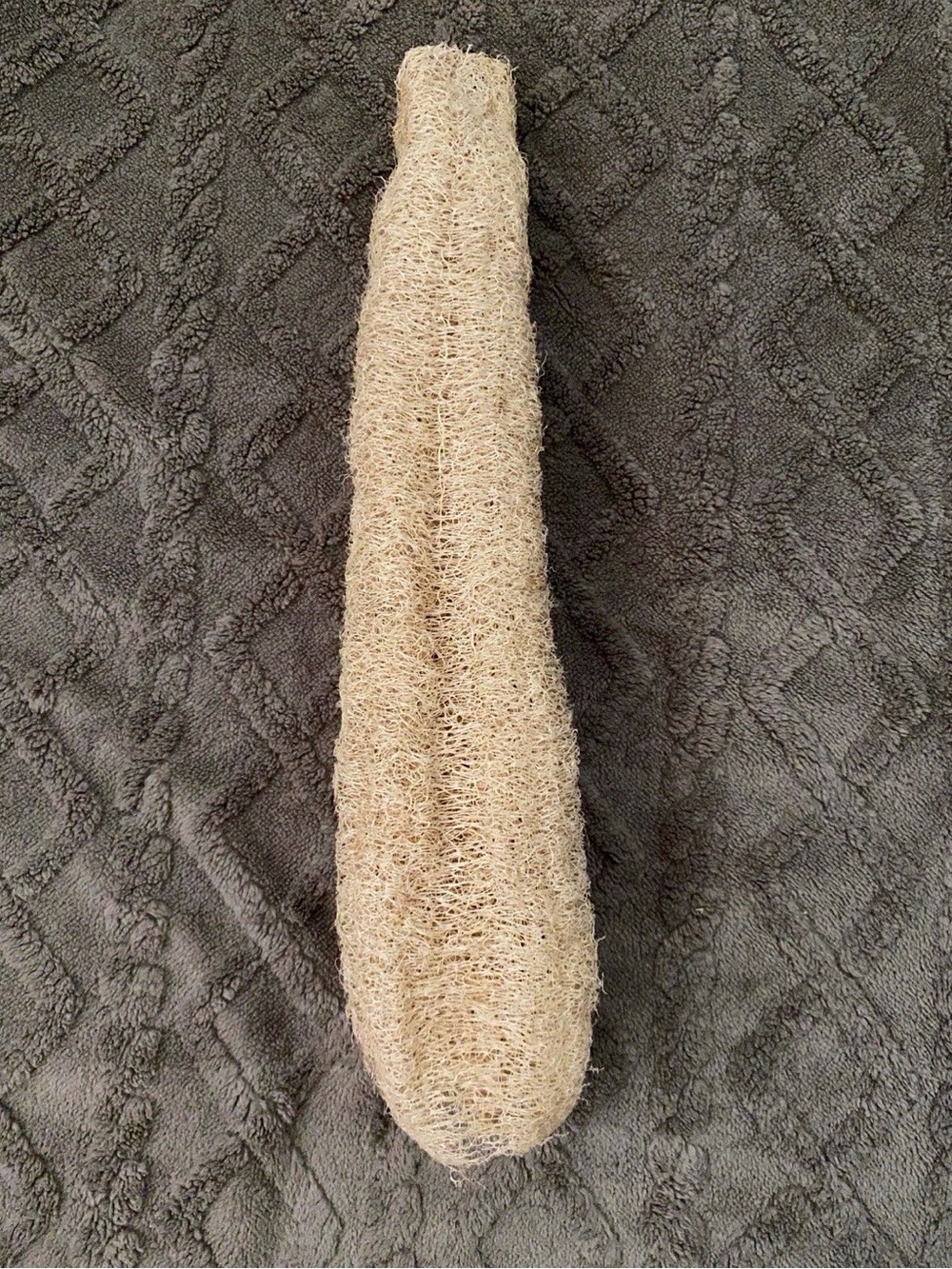 New Natural Loofah Sponge 21" Fresh Picked Organic Luffa Bath Body Scrubber